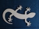Salamandre